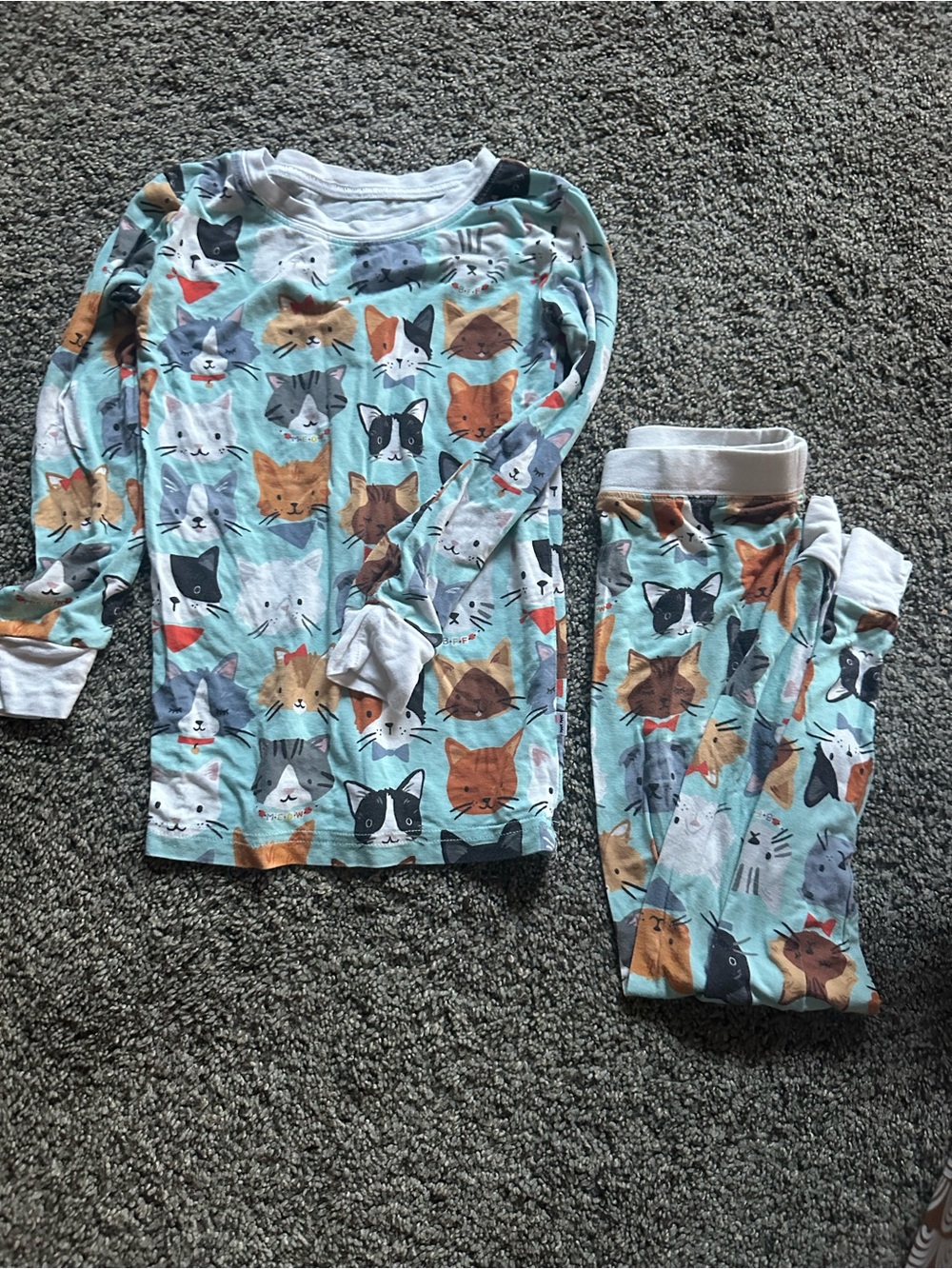 Little Sleepies Cat Best Friend 4T Long Sleeve/Pants Pajamas